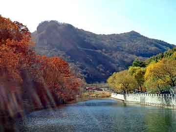 新澳天天开奖资料大全旅游团，极道特种兵最新章节